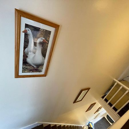 Beanies Lornestreet Four Bed House Apartment Суиндън Екстериор снимка